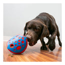 Kong Rewards Wally Toy