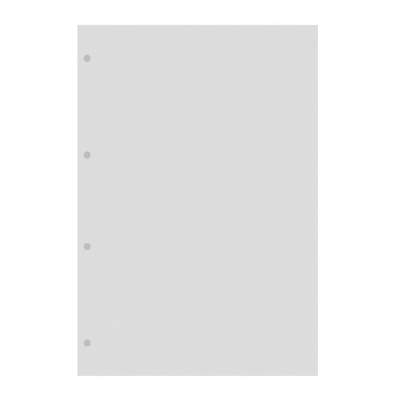 Filofax A4 Transparent Flyleaf with Tab