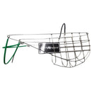 Bouche de chien de lévriers