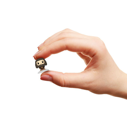 Harry Potter: Goblet of Fire Hagrid Bitty Pop! 4-Pack