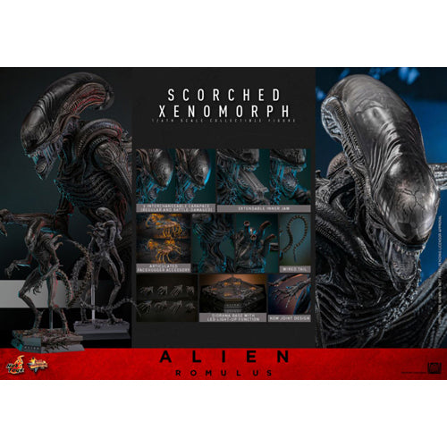 Alien: Romulus Scorched Xenomorph 1:6 Scale Action Figure