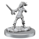 D&D Nolzurs maravilloso en miniatura