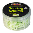 Glow in the Dark Squirmy Worm Toy