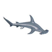 CollectA Scalloped Hammerhead Shark Figure (Medium)