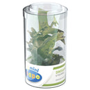 Papo Mini Plus Figurines de dinosaures 6pcs