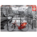 Collezione di puzzle educale 3000pcs