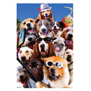  Póster Galaxia aleatoria