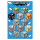 Affiche Minecraft