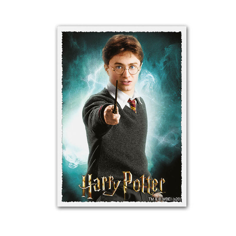 Dragon Shield Matte Art Sleeves Boîte de 100