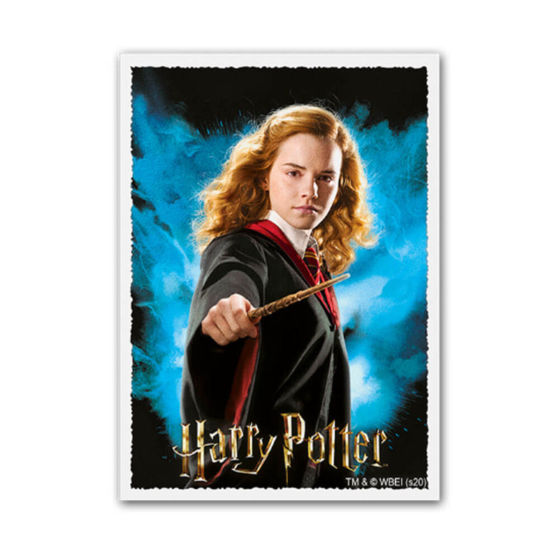 Dragon Shield Matte Art Sleeves Boîte de 100