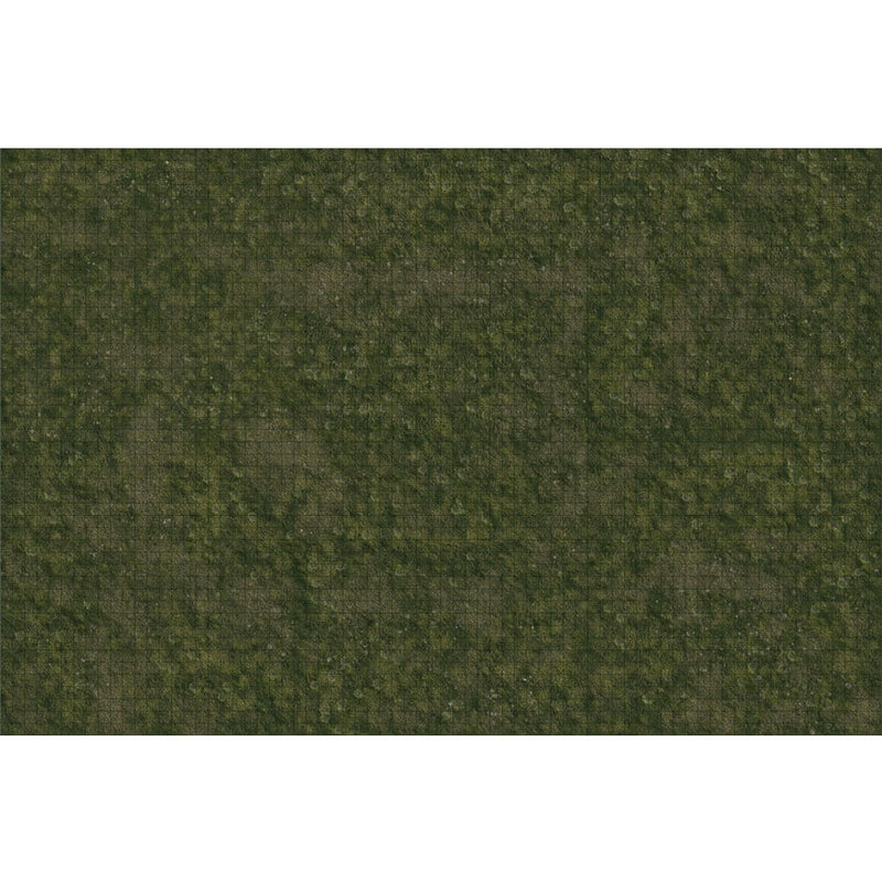 D&D icone dei regni Battle Mat