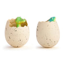 Oeuf de croissance géant