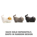  Pullie Pal Furever Mascotas Estiramiento