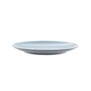 Grey and Blue Plastic Plate