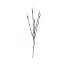 Ramoscelli decorativi di cocco con luci fate a LED