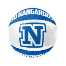 Palla da spiaggia gonfiabile AFL