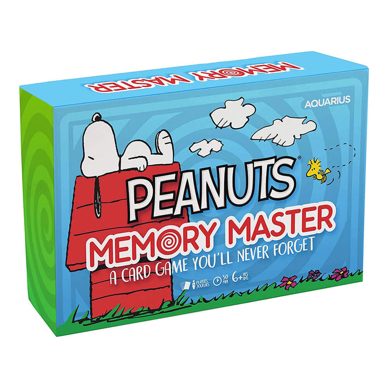Jeu de cartes Memory Master